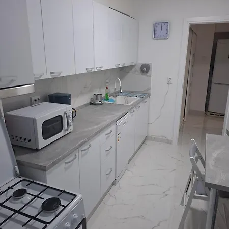 Apartment, 3 Rooms,nearby Piata Victoriei And Gara De Nord, Main Railwaystation Bukarest